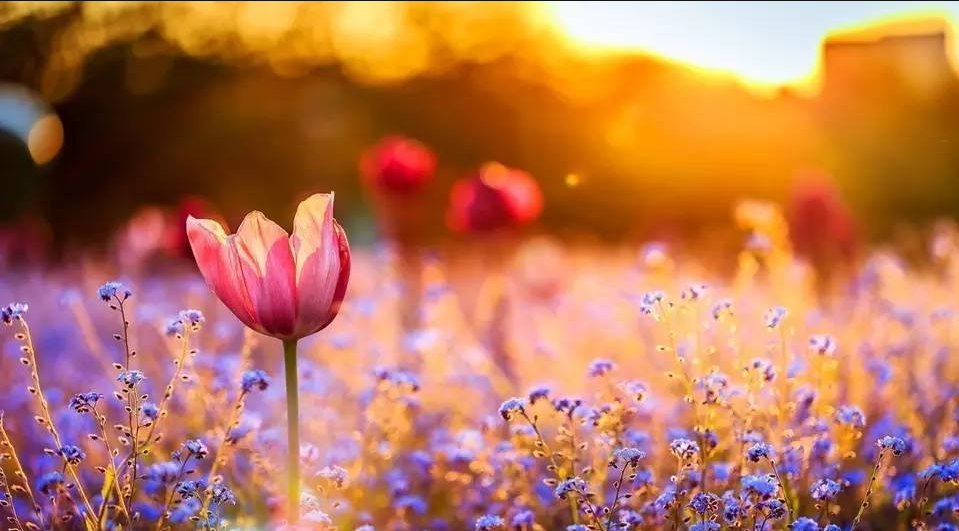 特医食品：医疗界的“营养处方”